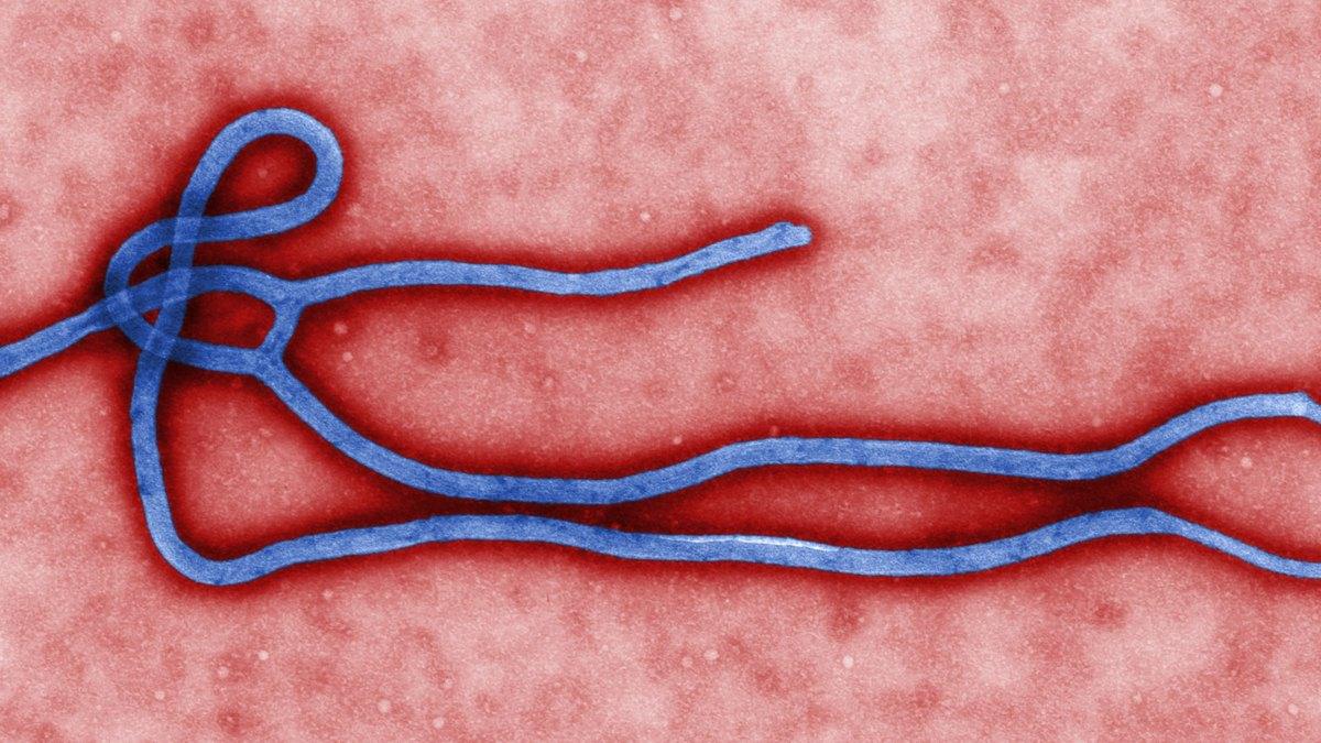 Ebola death toll in DR Congo passes 5,000 in the country's deadliest outbreak on record